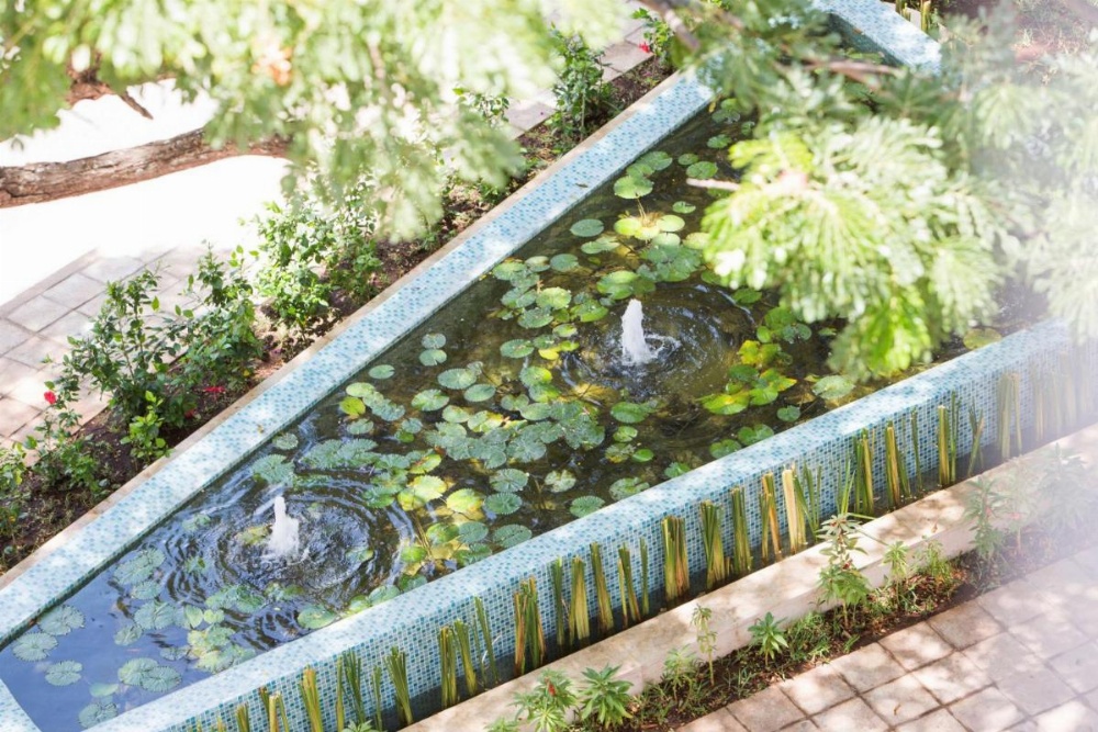 Park Hyatt Zanzibar Image 16